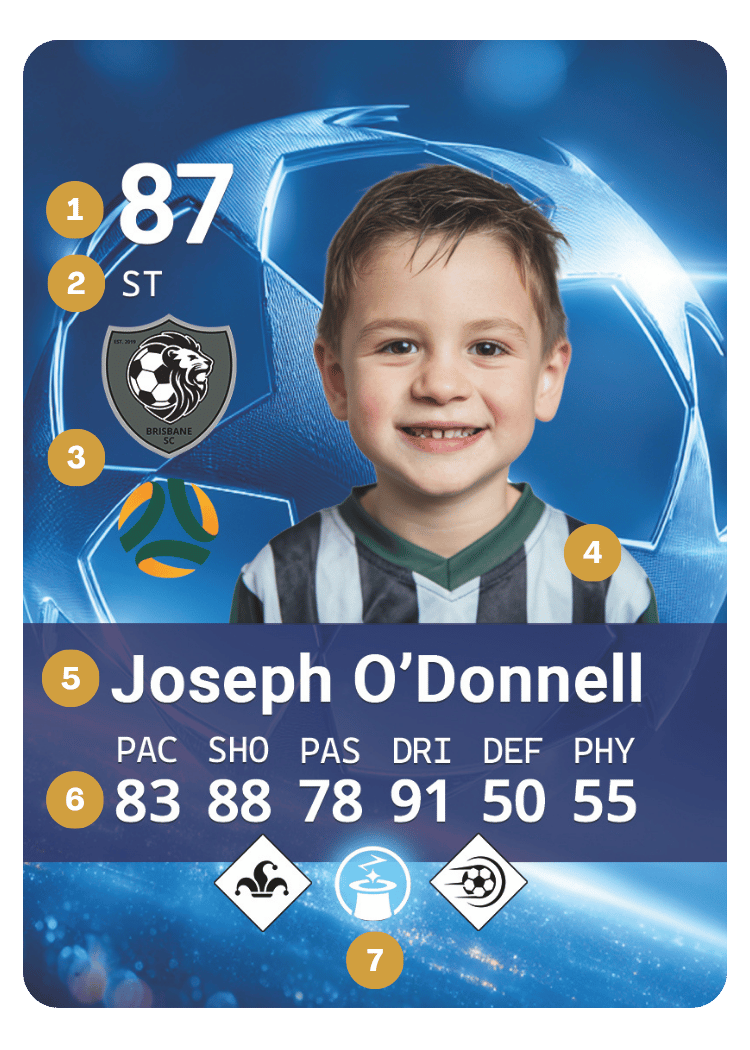 Card anatomy example, zoomed
